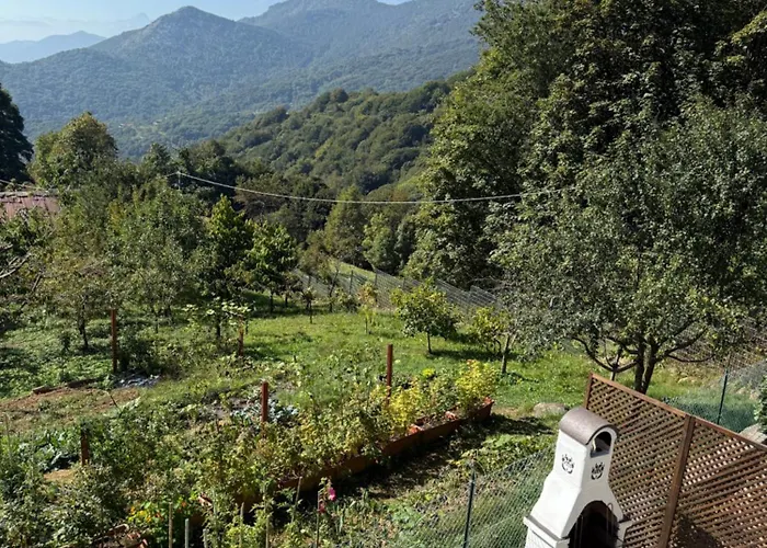 Hébergement de vacances La Tana Del Lupo